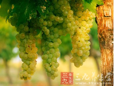 葡萄柚汁与降血压药物会产生不良反应