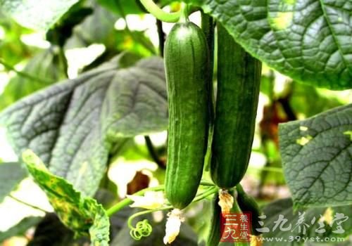 中医祛痘 从源头解决问题