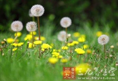 睡觉流口水可能是疾病来袭