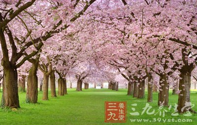 睡觉流口水可能是疾病来袭