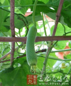 长夏如何养生防病