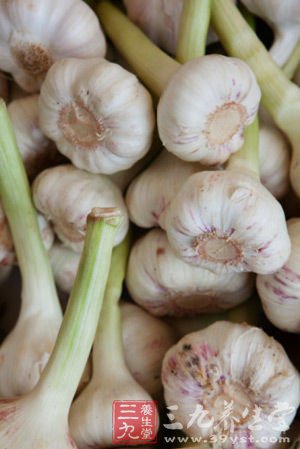 大蒜有治疗阳痿作用