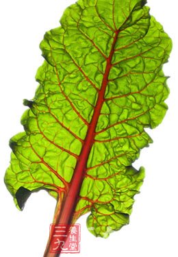 食品安全受侵犯 教您避开有毒食物