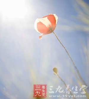 夏季养生小常识