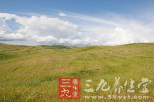 夏季养生 消暑清热四方案