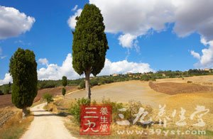 国人夏季养生 辨清体质在行动