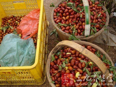 秋季购买冬枣要警惕