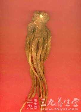 美女滋阴十大宝贝