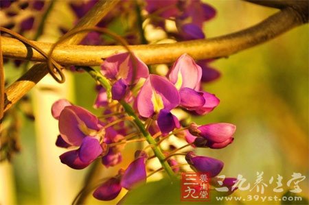 初夏养生关键在清