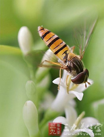 初夏养生关键在清