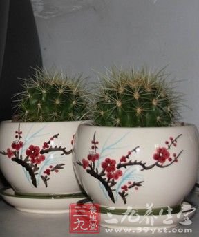 吃仙人掌 让你美丽又瘦身