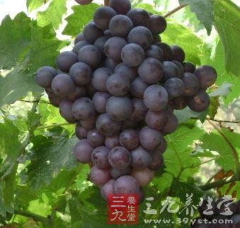 夏季水果减肥 水果颜色尤为重要(3)