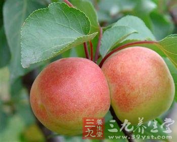 桃子的营养价值 补铁效果好(3)