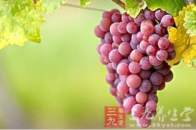 水果是好的排毒食物