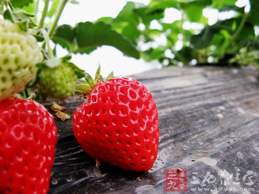 水果是好的排毒食物