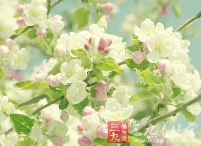 立夏养生调脏器 健康度转季