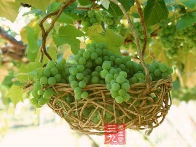 夏季吃什么防晒