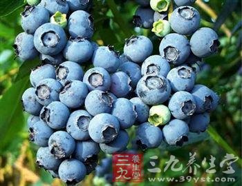 蓝莓营养丰富 适合多种人群食用(3)