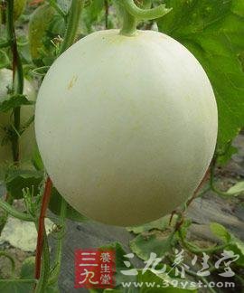 夏季水果选择太多 甜瓜比西瓜维C多(4)