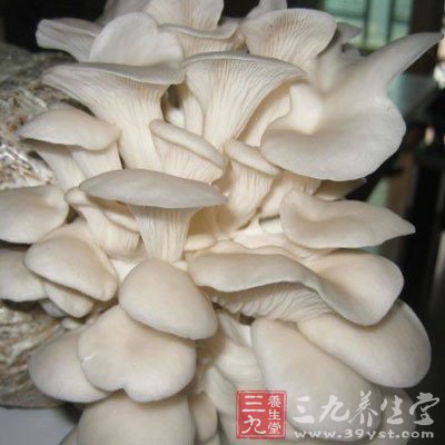 豌豆尖蘑菇豆腐汤 帮助女性抗衰老