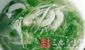 中医养生教授 吃豆苗可以补肾