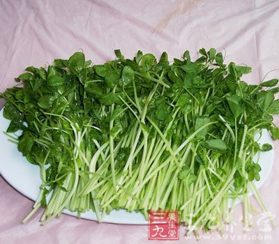 中医养生教授 吃豆苗可以补肾