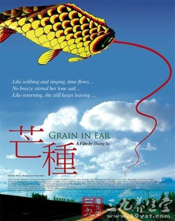 夏季6节气的保健养生之道