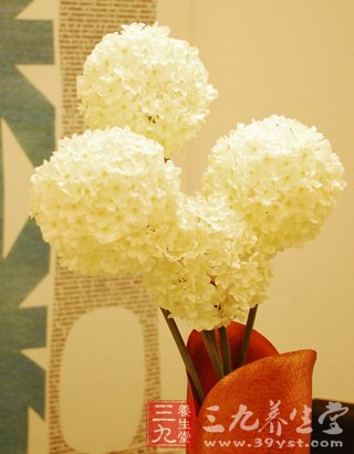 睾丸七大疾病让男人很蛋疼(2)