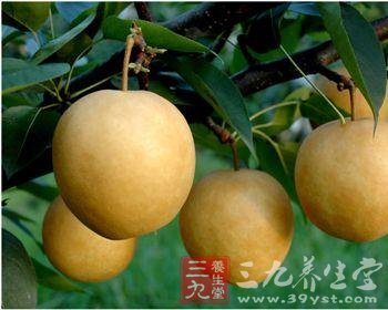 哪些水果有利于保持肠道健康(4)