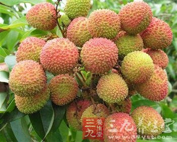 夏季吃荔枝不上火有哪些窍门?(2)