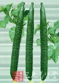 凉拌黄瓜的做法 家常做法全收录(3)