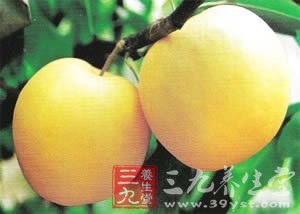 饭后吃梨 防治癌症消除便秘