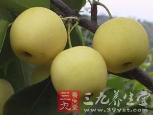 饭后吃梨 防治癌症消除便秘
