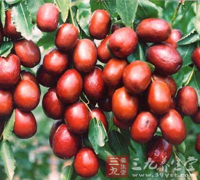 推荐十四种美容抗衰老的食物