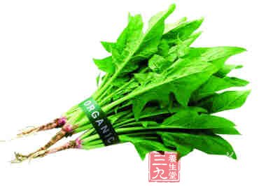 菠菜的营养价值 多吃菠菜让眼睛更明亮