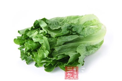 生菜的营养价值 生菜与什么搭配营养