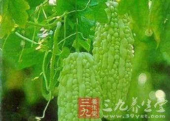 苦瓜的功效与作用 苦瓜两种吃法有助长寿(3)