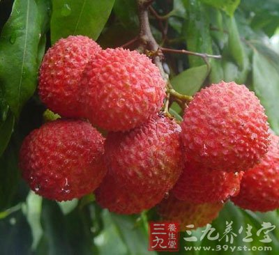 夏天小心吃出荔枝病