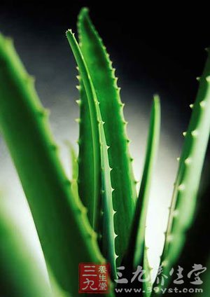 电脑族桌面新宠