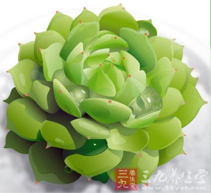 电脑族桌面新宠