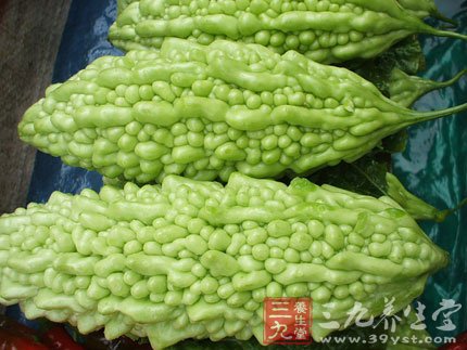 苦瓜 女性经期伤不起