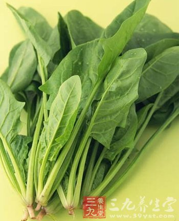 8款排毒蔬菜 让你轻松年轻10岁