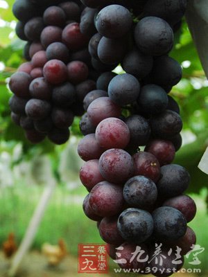 常吃4种黑色水果