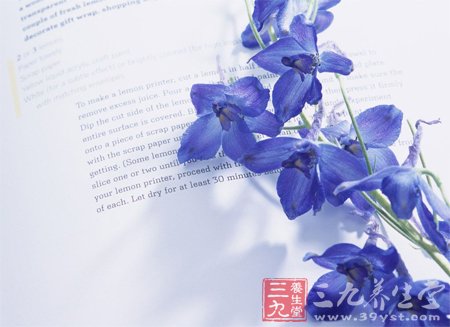 常常与花卉作伴 缓解身心压力