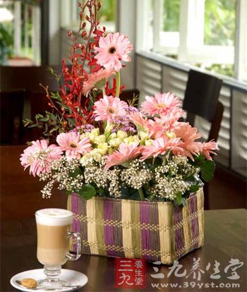 常常与花卉作伴 缓解身心压力