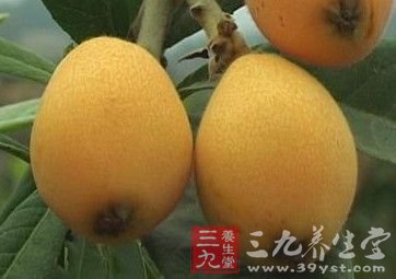 吃水果 夏季预防百病