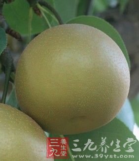 吃水果 夏季预防百病