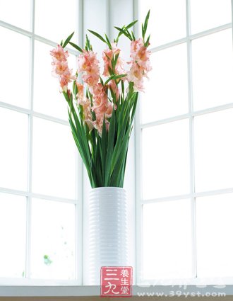 室内7处摆植物 打造夏季清爽家居环境