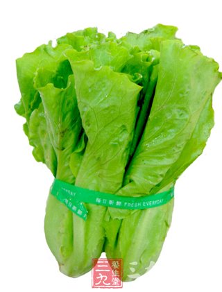 生菜有哪些营养价值 清肝利胆养胃排毒