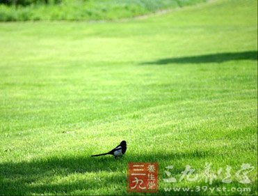 七招解除夏天燥气
